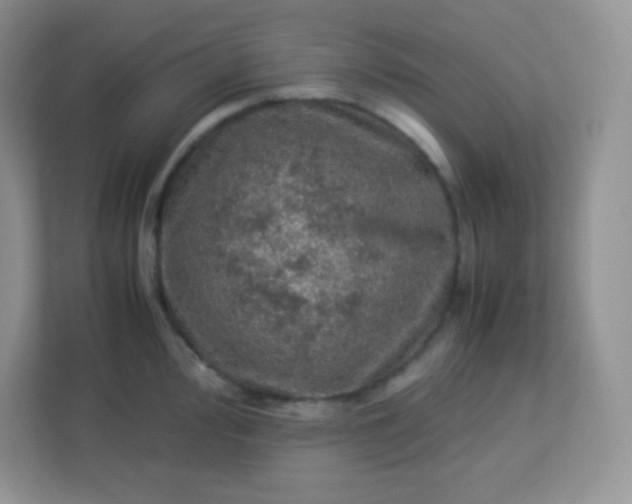 X0000113311000200909281121