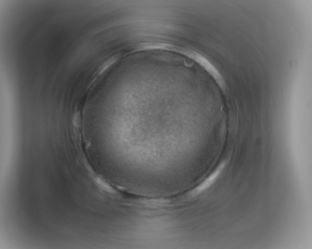 X0000113311001200909281121