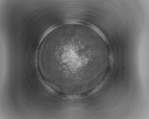 X0000113311002200909281121