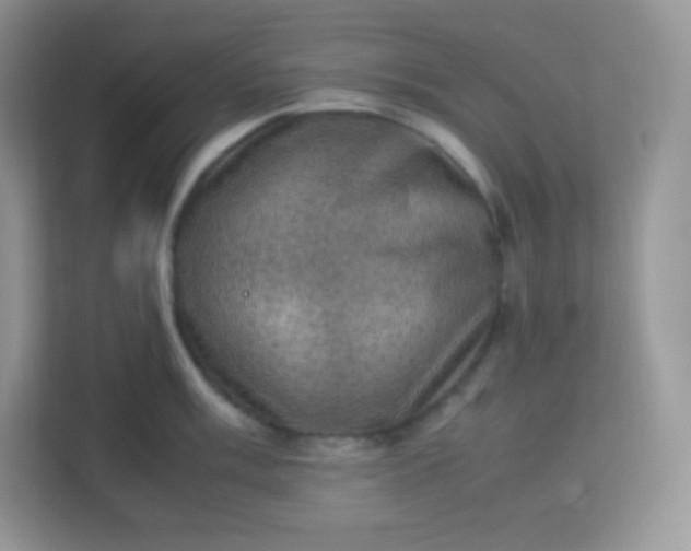 X0000113311003200909281121