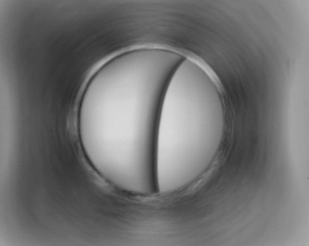 X0000113311004200909281121