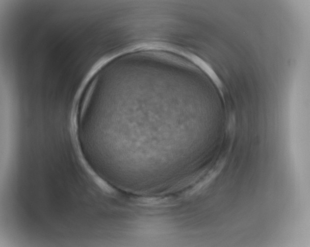 X0000113311005200909281121