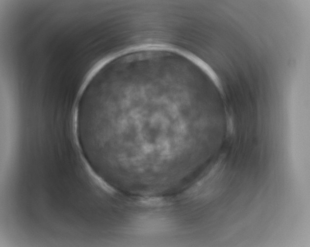 X0000113311006200909281121