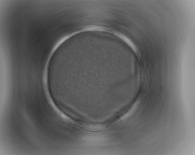 X0000113311007200909281121