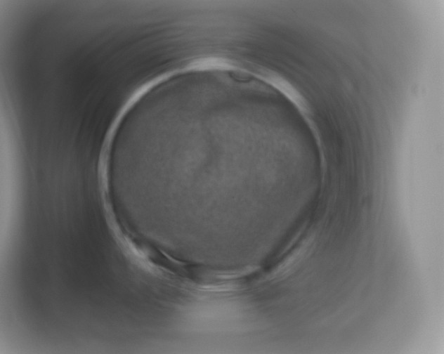 X0000113311008200909281121