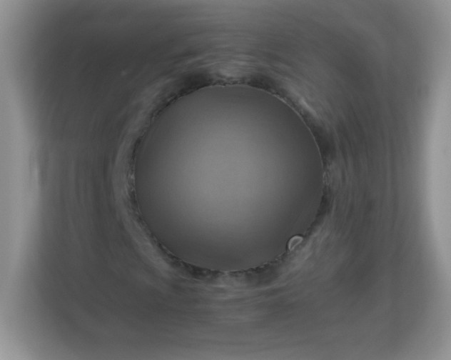 X0000113311009200909281120