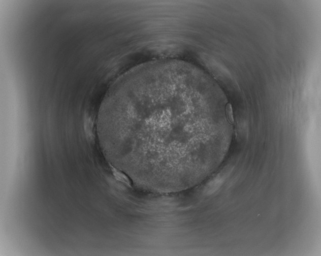 X0000113311010200909281120