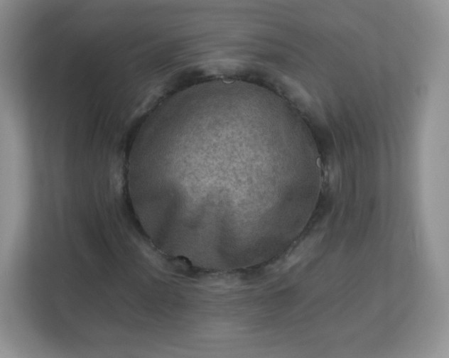 X0000113311012200909281120