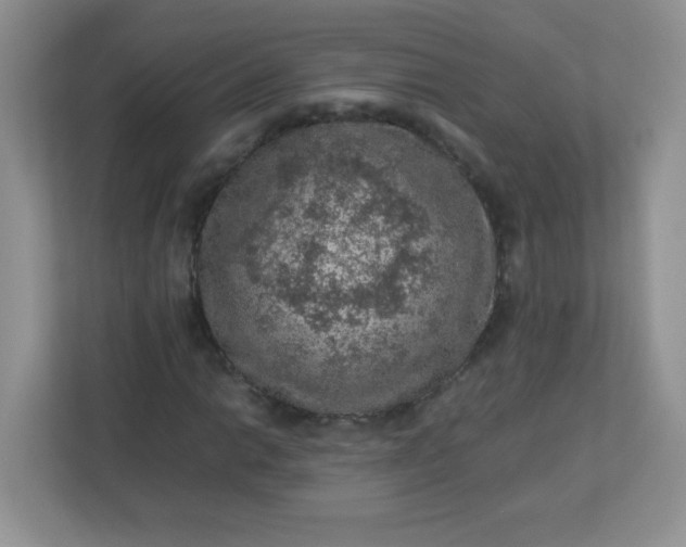 X0000113311014200909281120