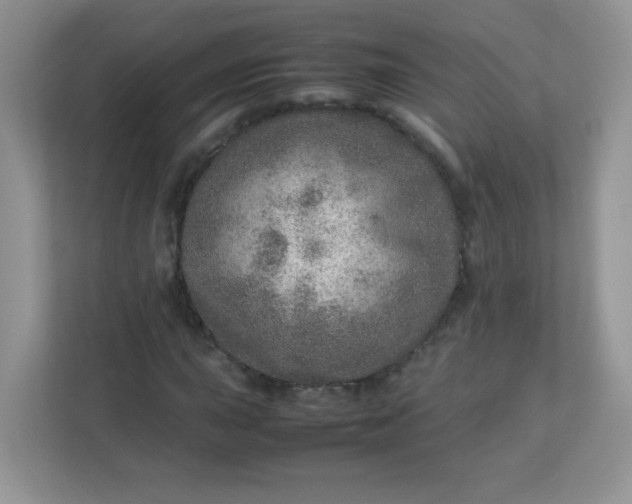 X0000113311015200909281120