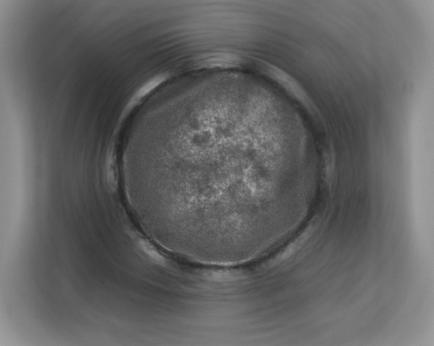 X0000113311018200909281120