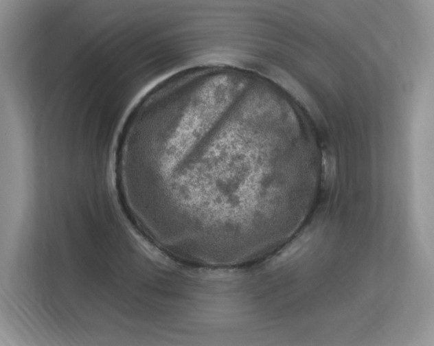 X0000113311020200909281120