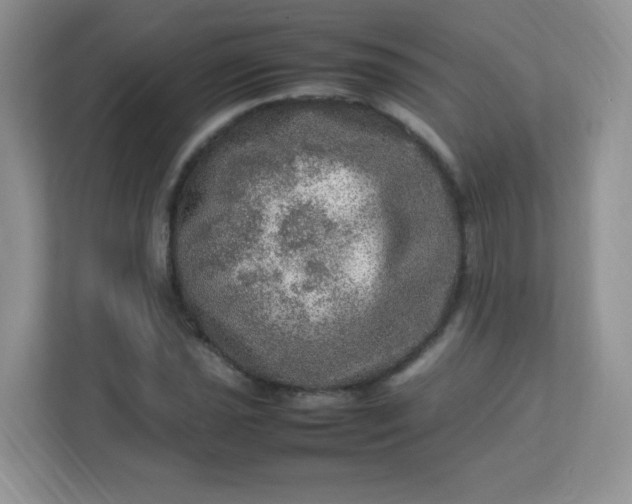 X0000113311021200909281120