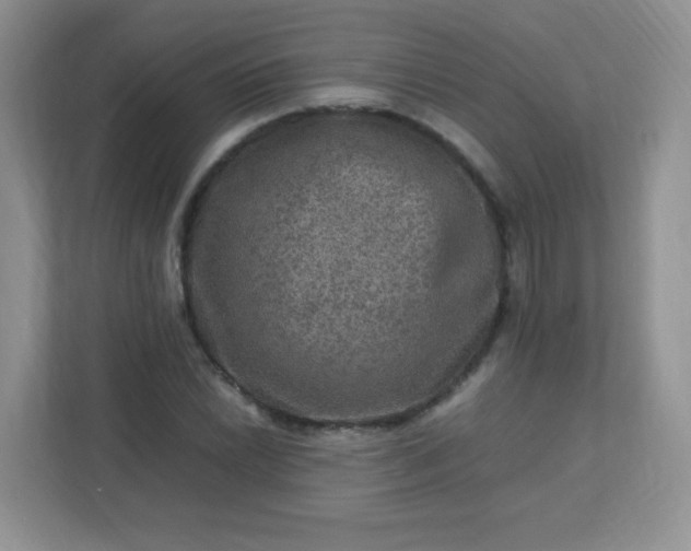 X0000113311022200909281120