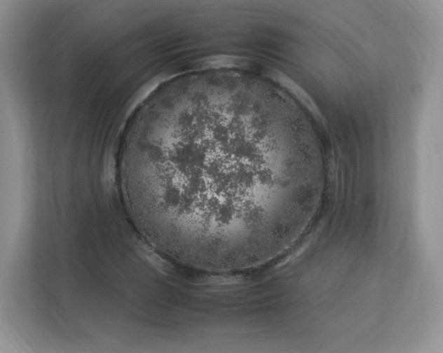 X0000113311023200909281120