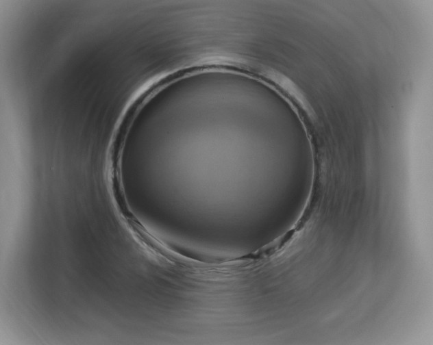 X0000113311024200909281120