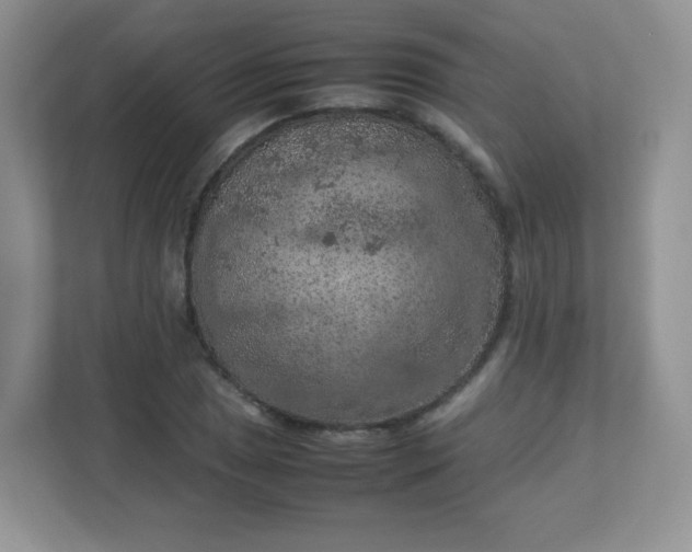 X0000113311025200909281120