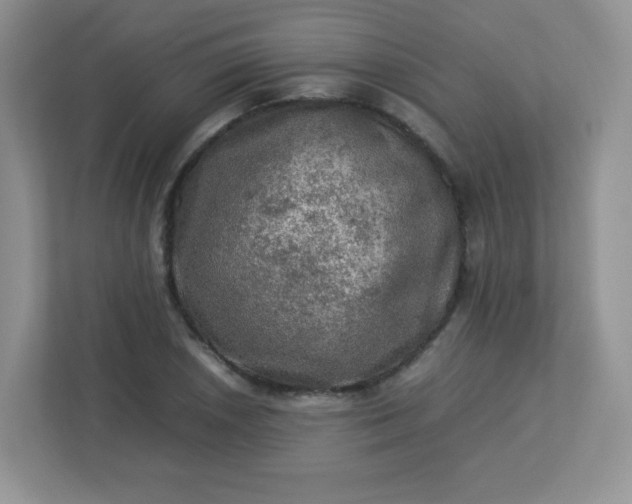 X0000113311026200909281120