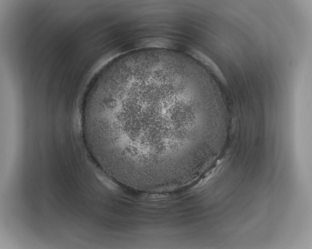 X0000113311027200909281120