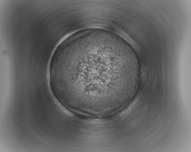 X0000113311028200909281120