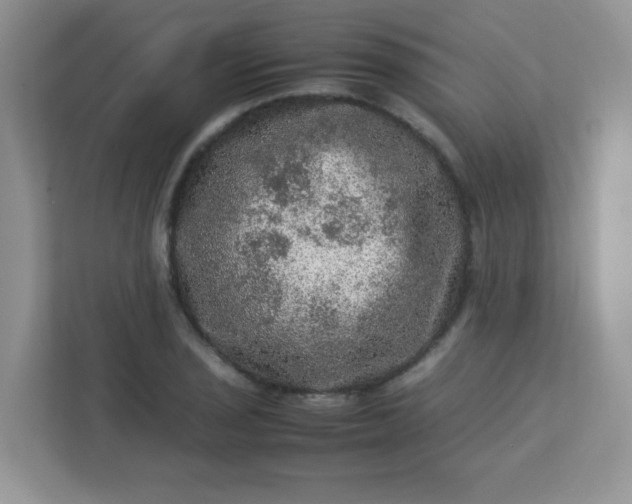 X0000113311029200909281120