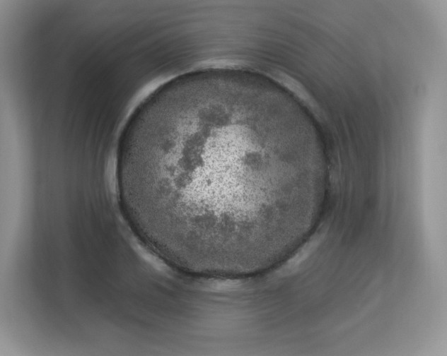 X0000113311030200909281120