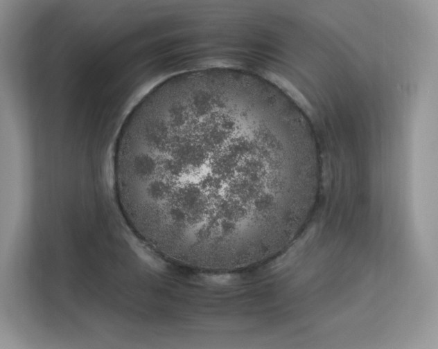 X0000113311031200909281120