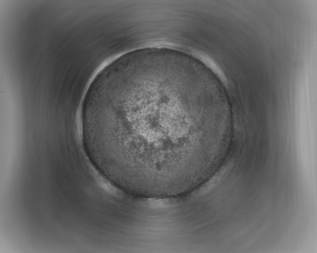 X0000113311032200909281120