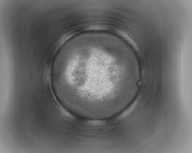 X0000113311033200909281120