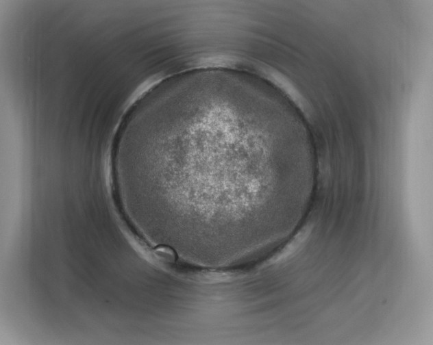 X0000113311034200909281120