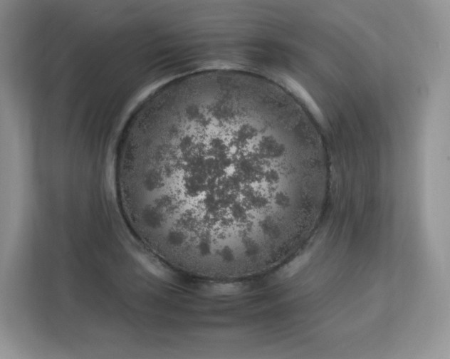 X0000113311035200909281120