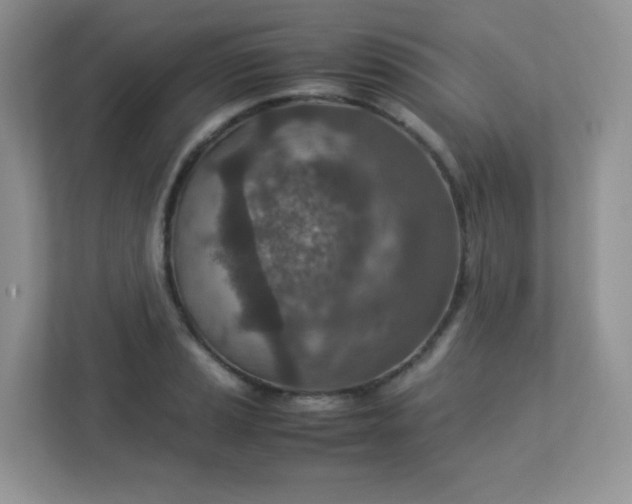 X0000113311037200909281120