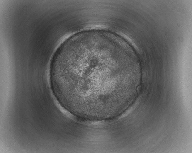 X0000113311038200909281120