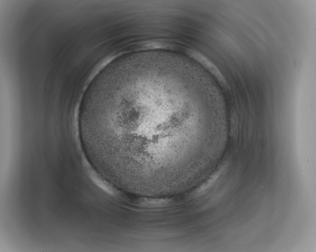 X0000113311039200909281120