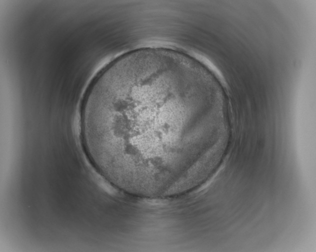 X0000113311040200909281120