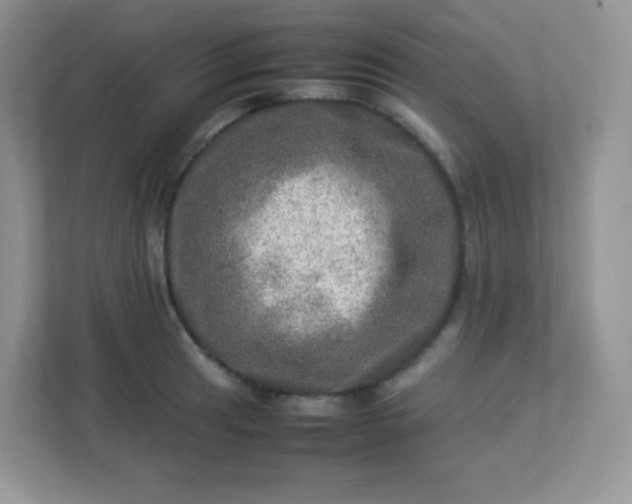 X0000113311041200909281120