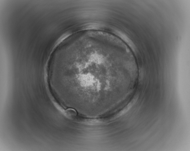 X0000113311042200909281120