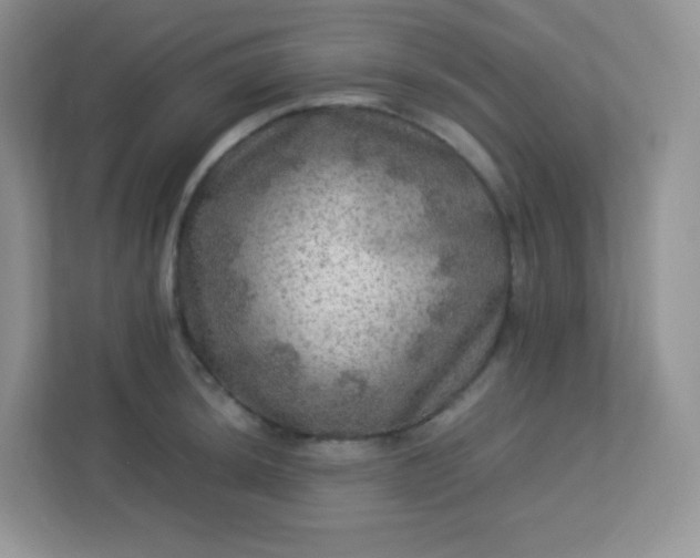 X0000113311044200909281120