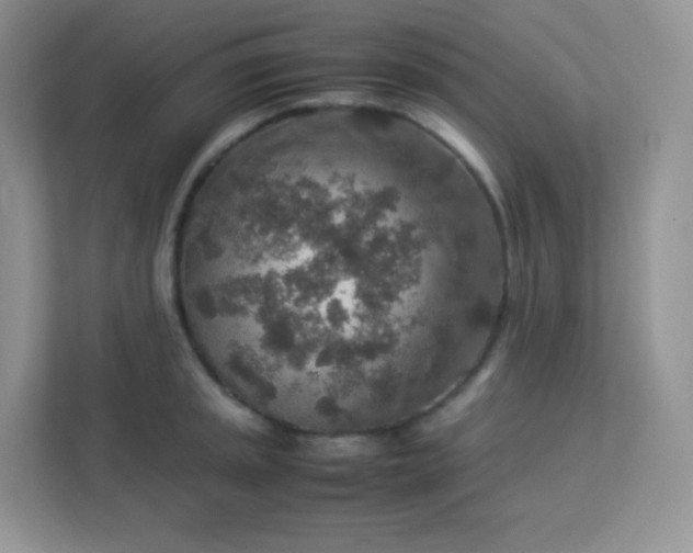 X0000113311045200909281120