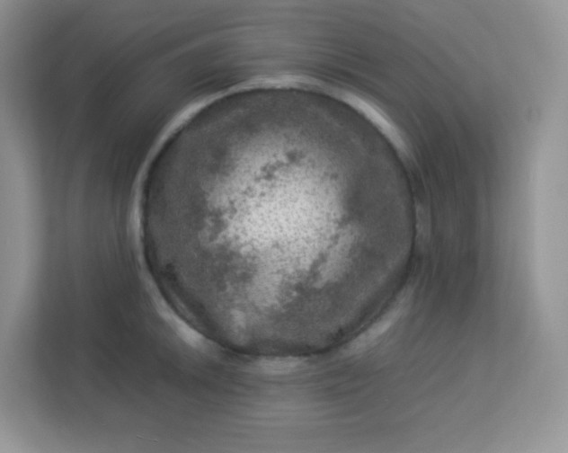 X0000113311046200909281120