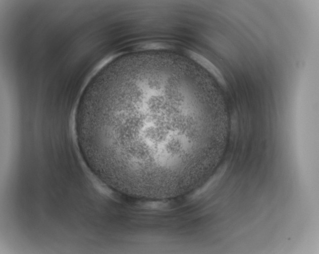 X0000113311047200909281120