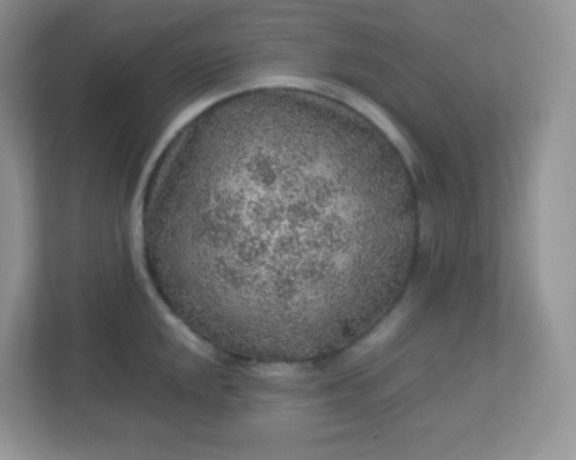 X0000113311048200909281120