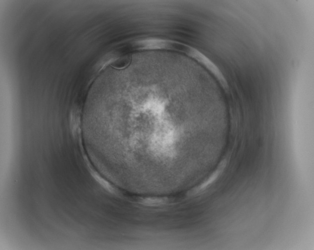 X0000113311049200909281120