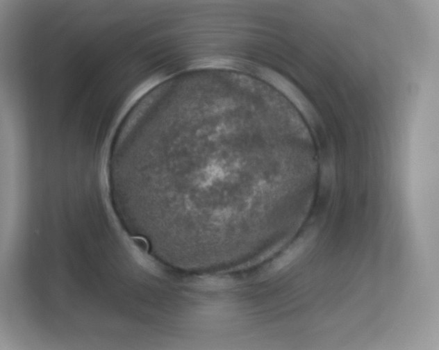 X0000113311050200909281120