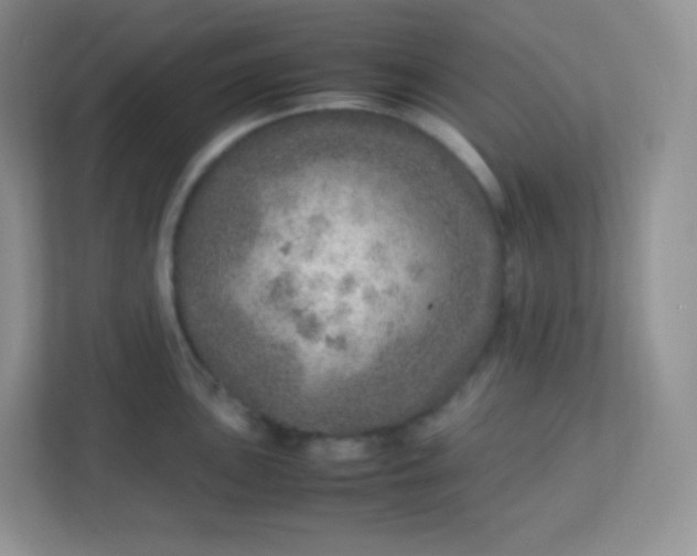 X0000113311051200909281120