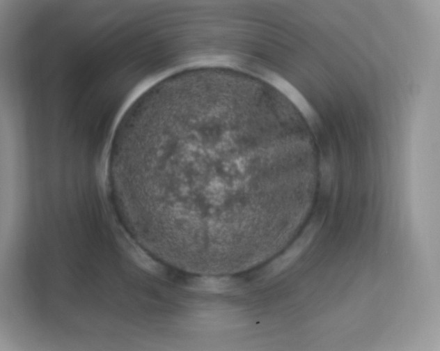 X0000113311052200909281121