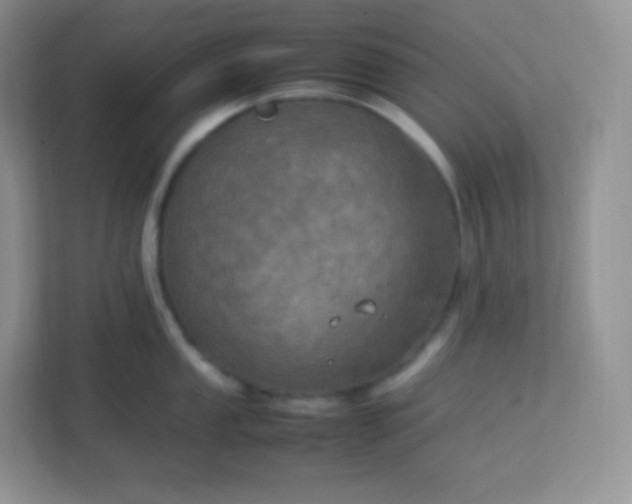 X0000113311053200909281121