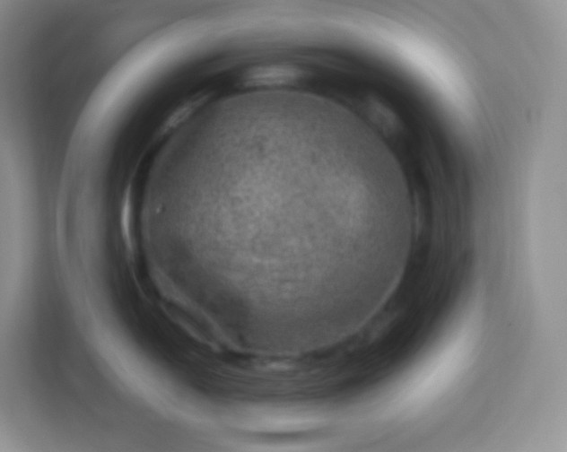 X0000113311054200909281121