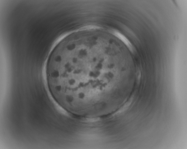 X0000113311055200909281121