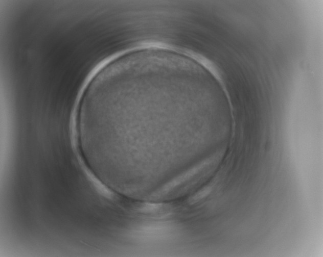 X0000113311056200909281121